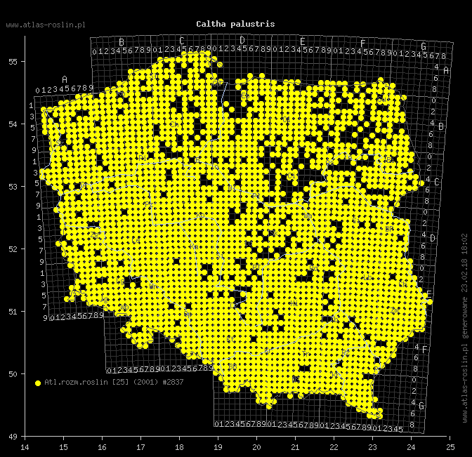 wystepowanie - Caltha palustris s.l. (knieć błotna)