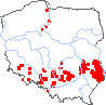 wystepowanie - Caucalis platycarpos (włóczydło polne)