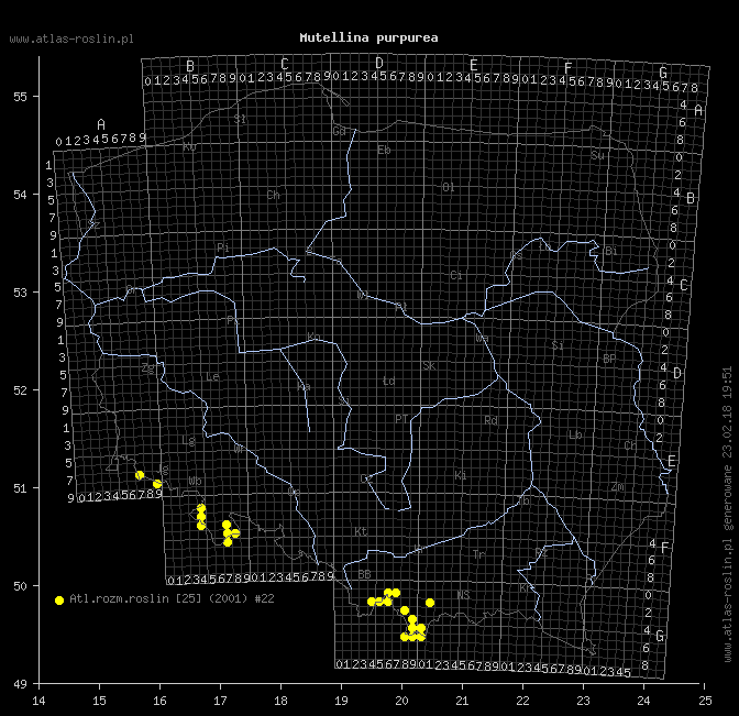 wystepowanie - Mutellina purpurea (marchwica pospolita)