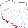 wystepowanie - Mutellina purpurea (marchwica pospolita)