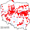 wystepowanie - Cnidium dubium (selernica żyłkowana)