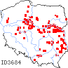 wystepowanie - Ostericum palustre (starodub łąkowy)