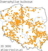 wystepowanie - Chaerophyllum bulbosum (świerząbek bulwiasty)