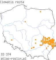 wystepowanie - Clematis recta (powojnik prosty)