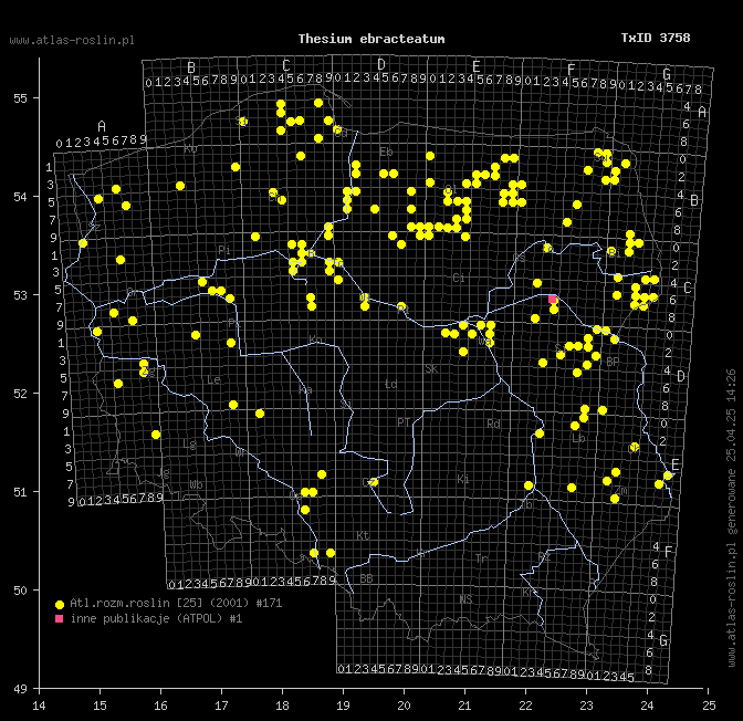 wystepowanie - Thesium ebracteatum (leniec bezpodkwiatkowy)