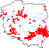 wystepowanie - Thesium linophyllon (leniec pospolity)