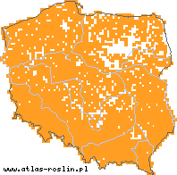 wystepowanie - Fraxinus excelsior (jesion wyniosły)