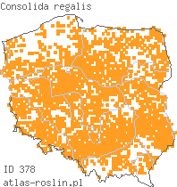 wystepowanie - Consolida regalis (ostróżeczka polna)