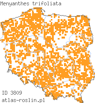 wystepowanie - Menyanthes trifoliata (bobrek trójlistkowy)