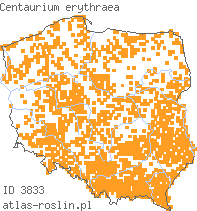 wystepowanie - Centaurium erythraea (centuria pospolita)
