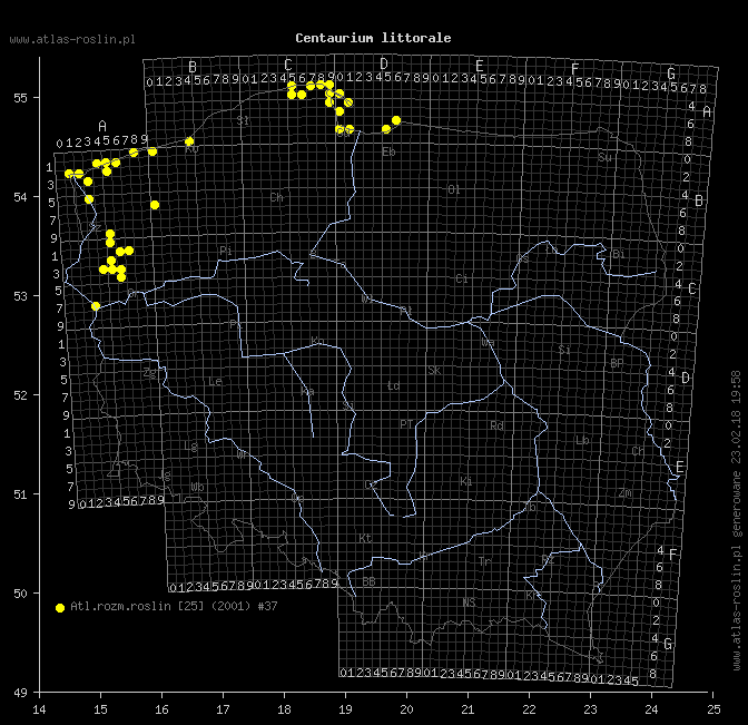 wystepowanie - Centaurium littorale (centuria nadbrzeżna)