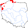 wystepowanie - Centaurium littorale (centuria nadbrzeżna)