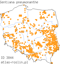 wystepowanie - Gentiana pneumonanthe (goryczka wąskolistna)