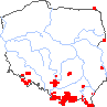 wystepowanie - Gentianella lutescens (goryczuszka wczesna)