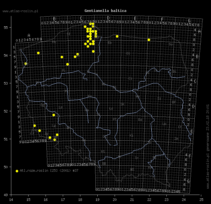 wystepowanie - Gentianella baltica (goryczuszka bałtycka)