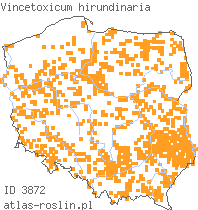 wystepowanie - Vincetoxicum hirundinaria (ciemiężyk białokwiatowy)