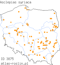 wystepowanie - Asclepias syriaca (trojeść amerykańska)