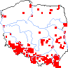 wystepowanie - Cruciata laevipes (przytulinka krzyżowa)