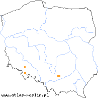 wystepowanie - Galium valdepilosum (przytulia stepowa)