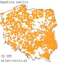 wystepowanie - Hepatica nobilis (przylaszczka pospolita)