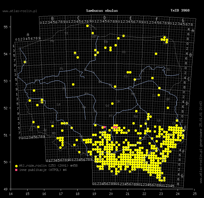 wystepowanie - Sambucus ebulus (bez hebd)