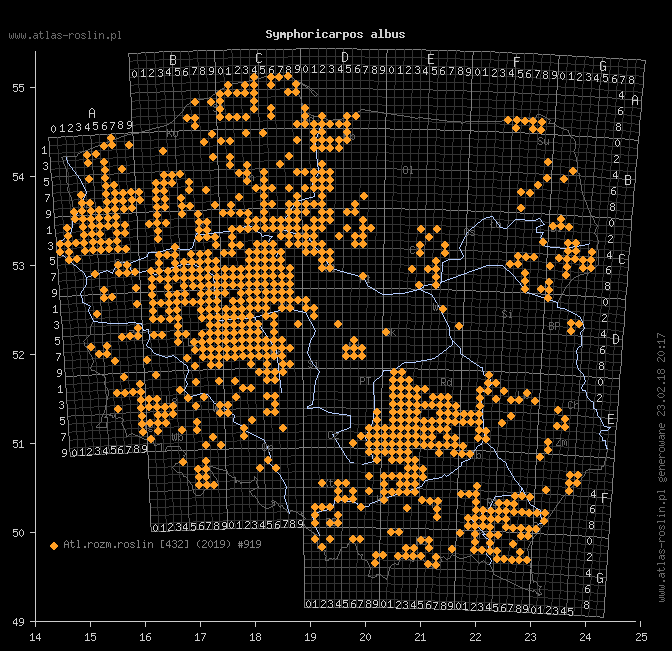 wystepowanie - Symphoricarpos albus (śnieguliczka biała)