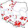 wystepowanie - Valerianella rimosa (roszpunka bruzdkowana)