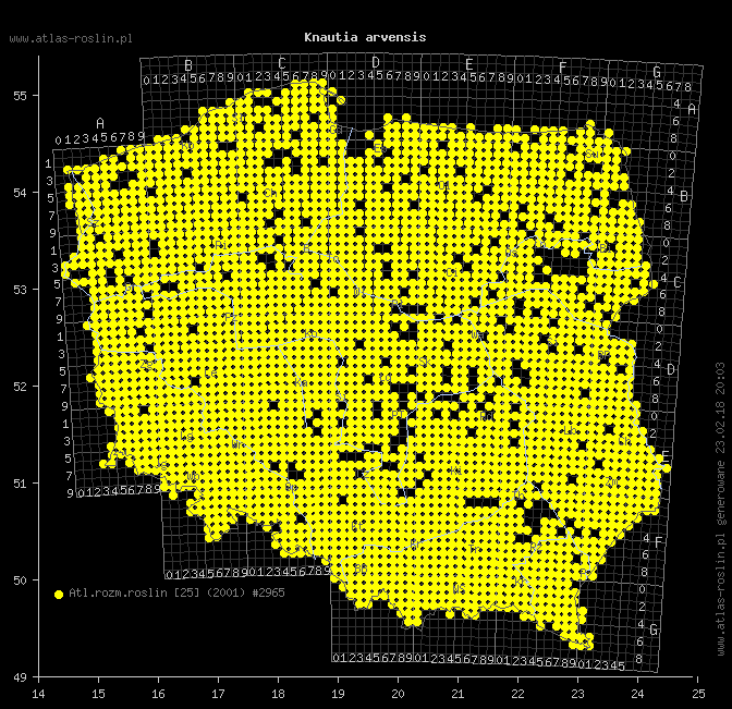 wystepowanie - Knautia arvensis (świerzbnica polna)