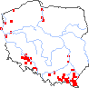 wystepowanie - Virga pilosa (szczeciniastka owłosiona)