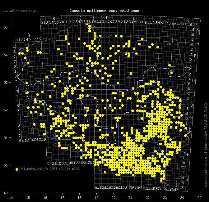 wystepowanie - Cuscuta epithymum ssp. epithymum (kanianka macierzankowa)
