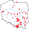 wystepowanie - Cuscuta trifolii (kanianka koniczynowa)