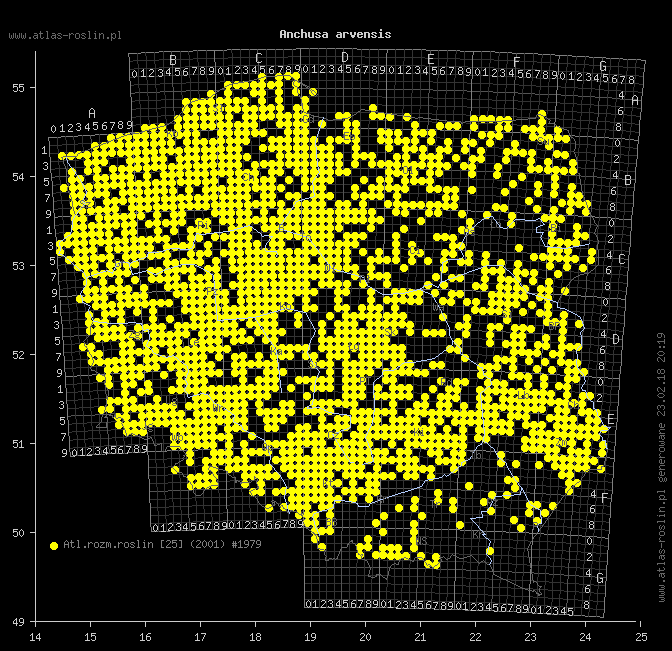 wystepowanie - Anchusa arvensis (farbownik polny)