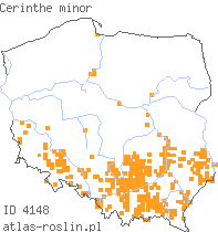 wystepowanie - Cerinthe minor (ośmiał mniejszy)