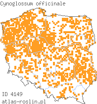 wystepowanie - Cynoglossum officinale (ostrzeń pospolity)