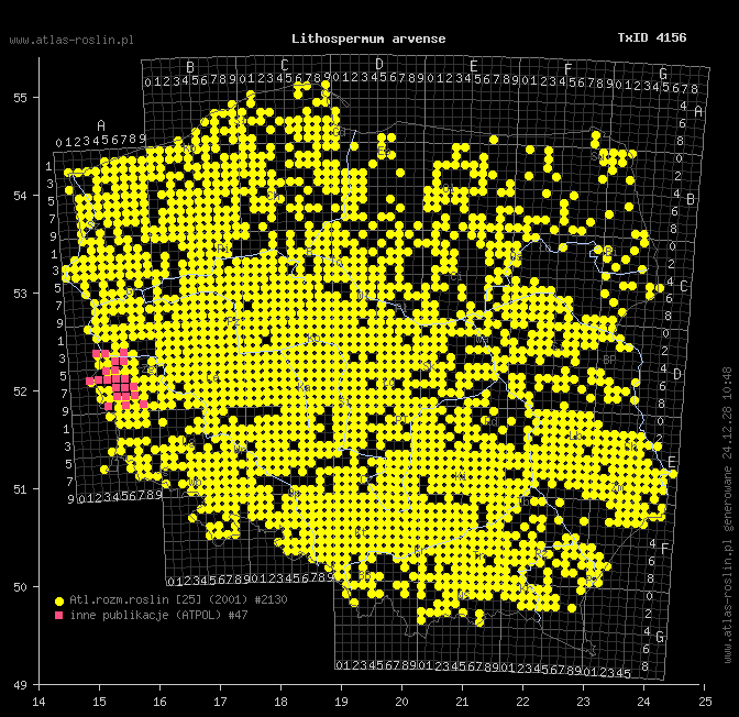 wystepowanie - Lithospermum arvense (nawrot polny)