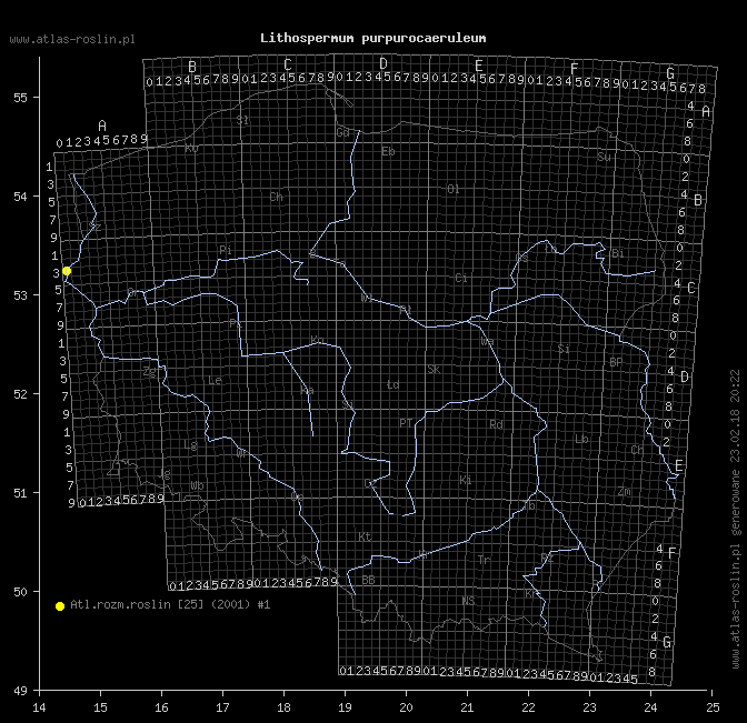 wystepowanie - Lithospermum purpurocaeruleum (nawrot czerwonobłękitny)