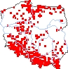 wystepowanie - Myosotis sylvatica (niezapominajka leśna)