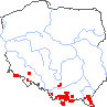 wystepowanie - Myosotis decumbens ssp. kerneri (niezapominajka rozłogowa Kernera)