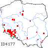 wystepowanie - Omphalodes scorpioides (ułudka leśna)