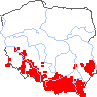 wystepowanie - Symphytum tuberosum (żywokost bulwiasty)