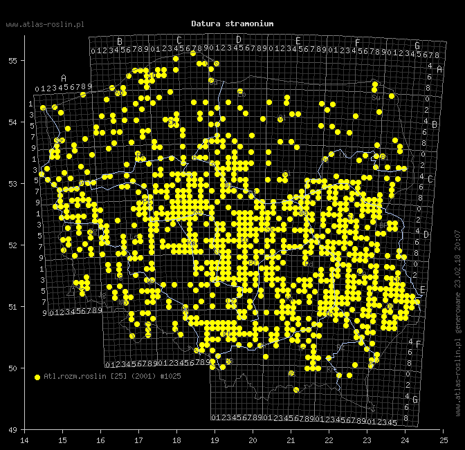 wystepowanie - Datura stramonium (bieluń dziędzierzawa)