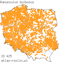 wystepowanie - Ranunculus bulbosus (jaskier bulwkowy)