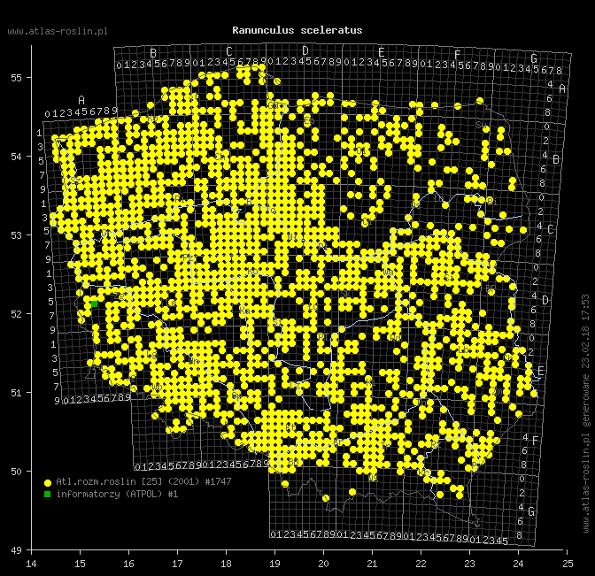 wystepowanie - Ranunculus sceleratus (jaskier jadowity)