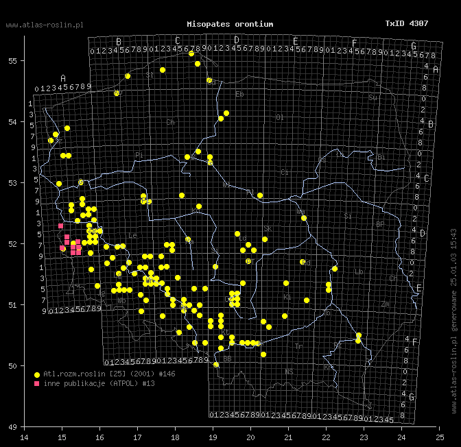 wystepowanie - Misopates orontium (wyżlin polny)