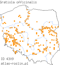 wystepowanie - Gratiola officinalis (konitrut błotny)