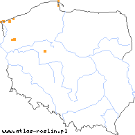 wystepowanie - Odontites litoralis (zagorzałek nadbrzeżny)