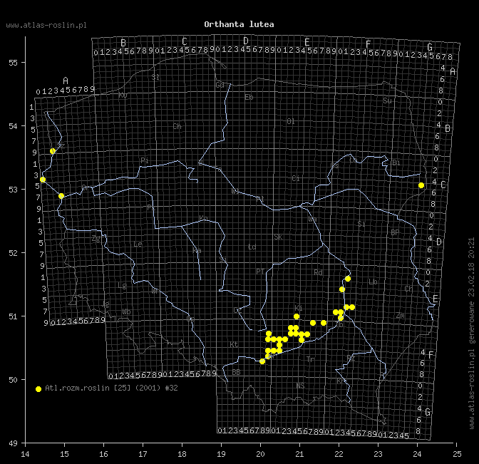 wystepowanie - Orthantha lutea (ortanta żółta)