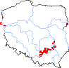 wystepowanie - Orthantha lutea (ortanta żółta)