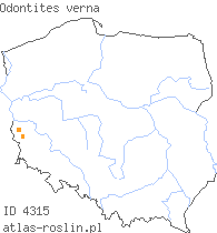 wystepowanie - Odontites verna (zagorzałek wiosenny)