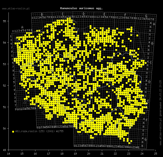 wystepowanie - Ranunculus auricomus agg. (jaskier różnolistny agg.)